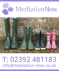 Mediation Now