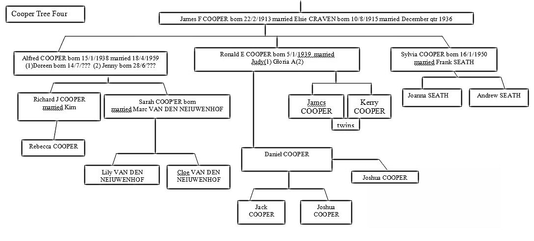 cooper tree4.jpg