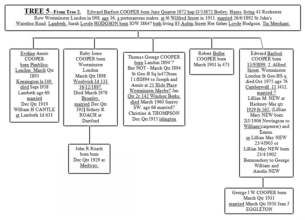 coopertree5