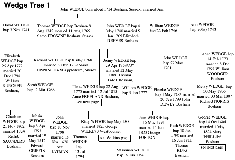 wedg11