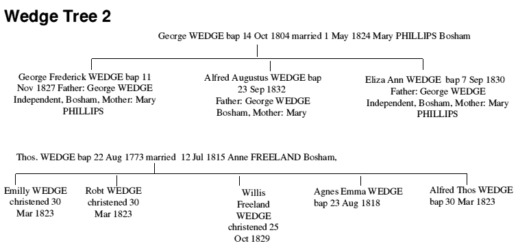 wedg22
